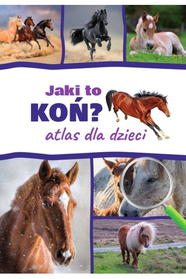 Atlas dla dzieci. Jaki to koń?