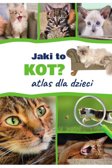 Jaki to kot? Atlas dla dzieci