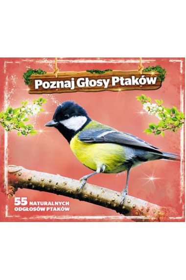 Poznaj Głosy Ptaków - nauka odgłosów