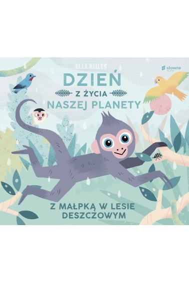 Dzień z życia naszej planety Z małpką w lesie desz