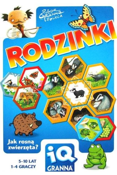 Gra IQ Rodzinki