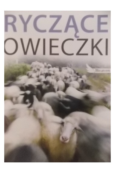 Ryczące owieczki Promocja