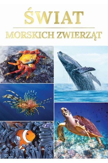 Świat morskich zwierząt