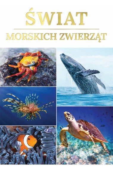 Świat morskich zwierząt