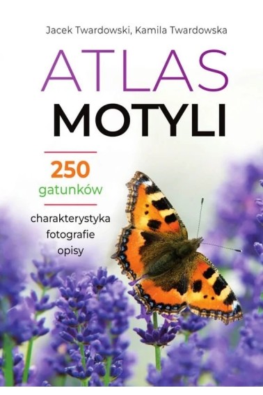 Atlas motyli