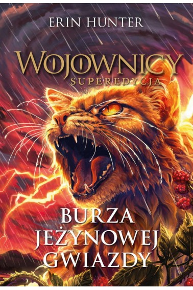 Burza Jeżynowej Gwiazdy. Wojownicy