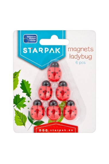 MAGNESY STARPAK