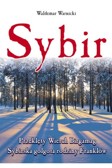 SYBIR