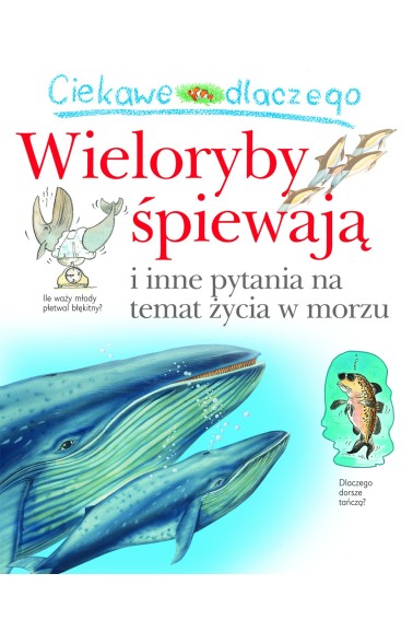 Ciekawe dlaczego wieloryby śpiewają