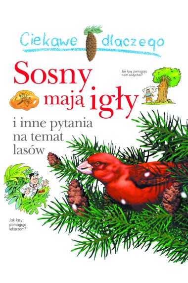 Ciekawe dlaczego sosny mają igły