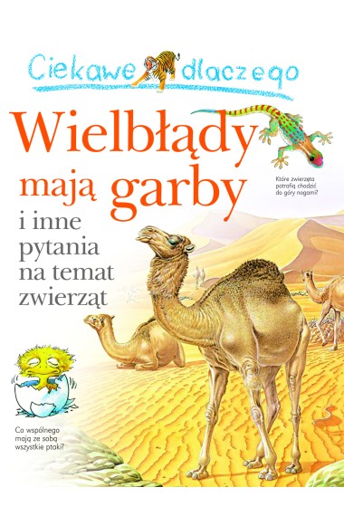 Ciekawe dlaczego wielbłądy maja garby