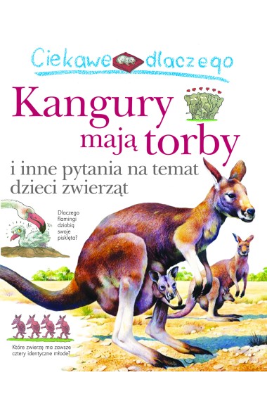 Ciekawe dlaczego kangury mają torby