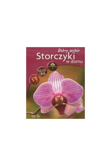 Storczyki w domu Dobry wybór