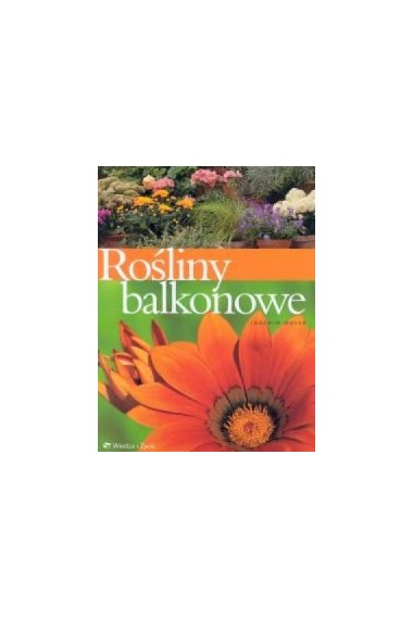 Rośliny balkonowe Przecena