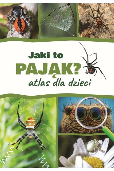 Atlas dla dzieci. Jaki to pająk?