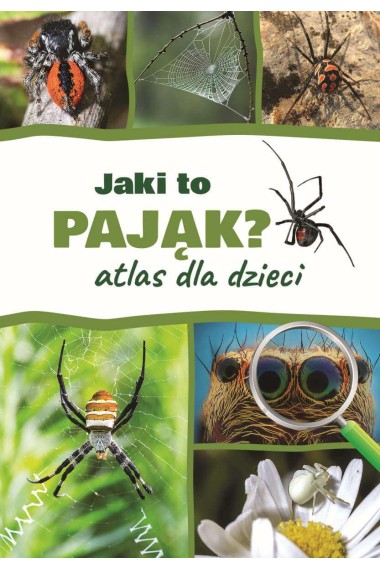 Atlas dla dzieci. Jaki to pająk?