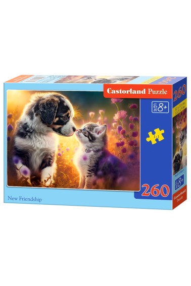 Puzzle 260 New Friendship CASTOR