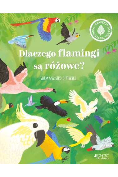 Dlaczego flamingi sa rózowe Wiem wszystko o ptakac