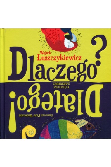 Dlaczego? Dlatego! Promocja