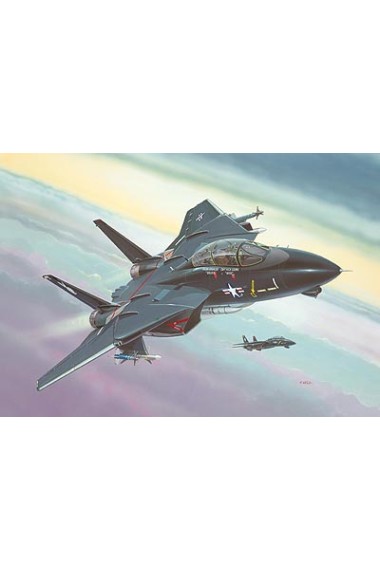 F -14 A Tomcat Black Bunny