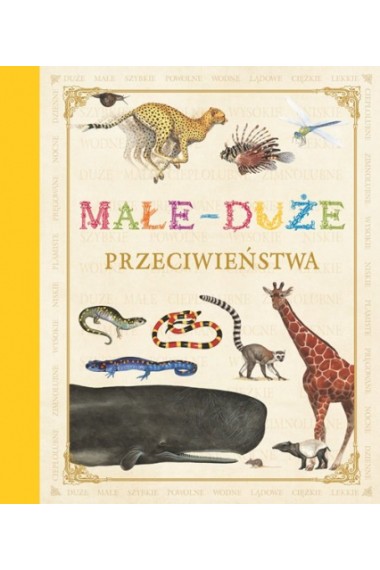 Poznaję świat ze zwierzętami Małe - duże Przecena