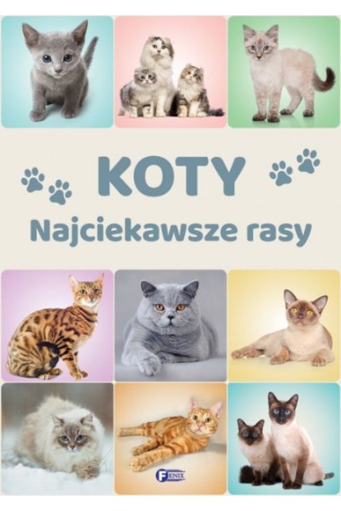 Koty najciekawsze rasy