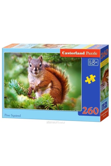 PUZZLE CASTORLAND 260