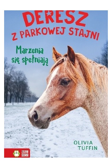 Deresz z Parkowej Stajni T1 Marzenia się spełniają